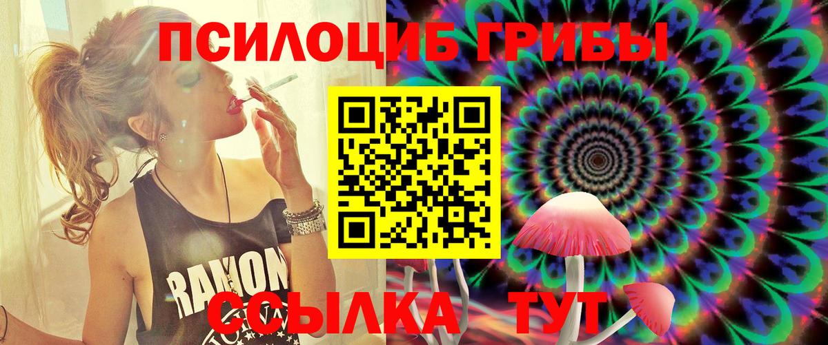Галлюциногенные грибы мухоморы  Вход с VPN  Великий Новгород  Псилоцибиновые грибы прущие грибы 