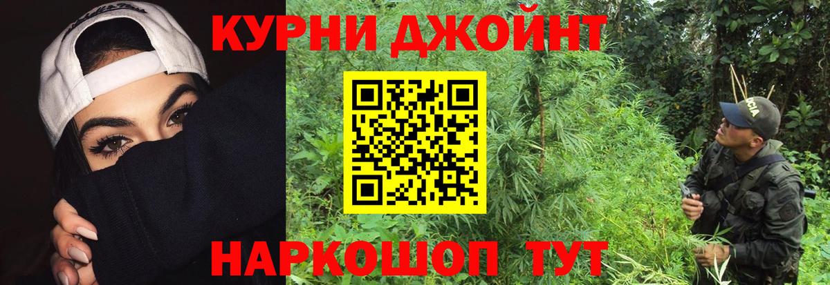 Канабис OG Kush Великий Новгород
