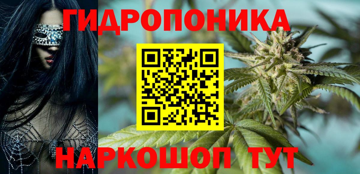 Канабис Bruce Banner  Конопля ГИДРОПОН  Вход с VPN  Бошки марихуана тримм  Великий Новгород 